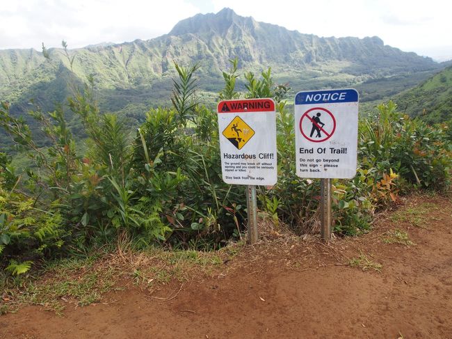 稜線にでたー！ここでTrail Endとなっています。<br />Pauoa Flasts Trailを分岐より先まで戻ってNu'uanu Trailに入ろうかとおもっていたけど、稜線に道がついてる！<br />