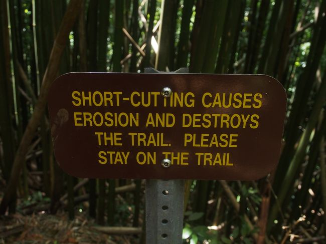 さて、帰るか。Nu'uanu Trailを通ってPauoa Flasts Trailまで行き、<br />Aihualama Trailと今まできた道を戻ります。<br />ショートカットしちゃだめって看板。<br />世界共通ですね。