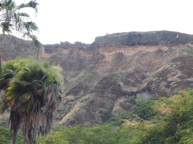 もうちょっと山っぽいかと思ったけど、本当にだだっぴろい