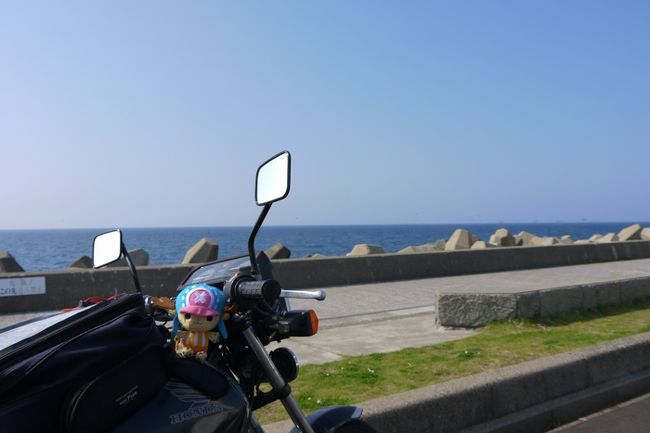 そして海までやってきました。