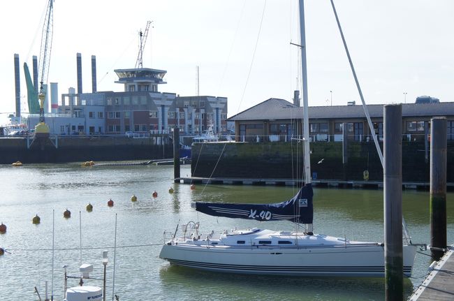 海産物店(Fish Market)(北西側)とモントグーメリドック