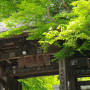 中伊豆　天城湯ヶ島温泉の人気の湯宿「あせび野」でほっこり♪