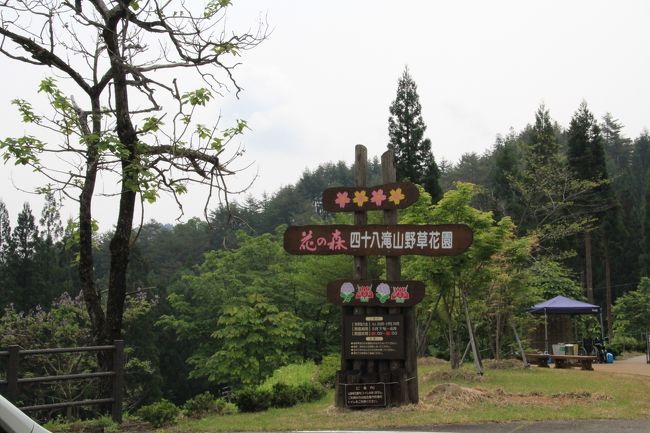 新緑の高山を歩く 花の森四十八滝山野草花園 宇津江四十八滝 高山城址 古い町並み 飛騨高山 古川 岐阜県 の旅行記 ブログ By はな さん フォートラベル