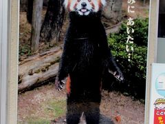 ２時間弱で鯖江駅に到着です。
「サンダーバード」を降りたらもうレッサーパンダがお出迎えです！！
