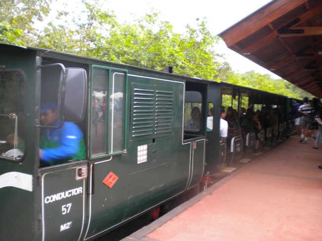 トロッコ電車で戻り食事に行く途中