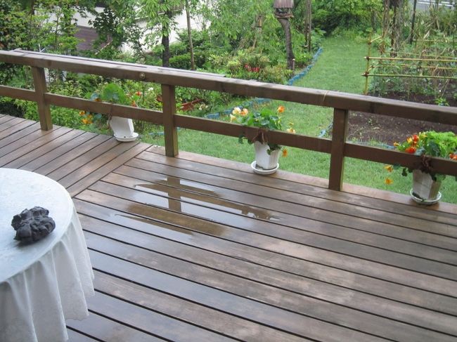 昨夜からの予報では、未明まで暴風雨が関東全域を<br />襲い、交通機関にも支障が出るとの事でした。<br /><br />しかし０５時の時点では、雨も止み風も有りません。（祝）