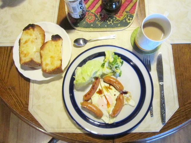 御殿場インターを、06時発の成田行きの高速バス<br />に乗る為に別荘を、05時３０分に出ました。