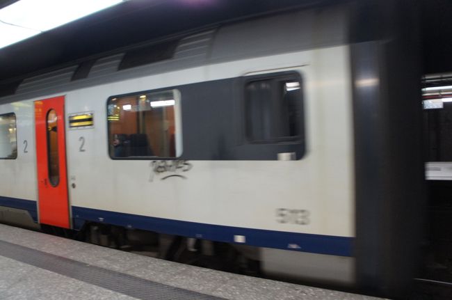 ブリュッセル中央駅のホーム<br />８：３７ブリュッセル中央駅〜１１：４０ルクセンブルク、１２：１３ルクセンブルク〜１３：０６トリアーの鉄道で、トリアーへ行きます。<br /><br />http://4travel.jp/traveler/piachan/album/10677546/