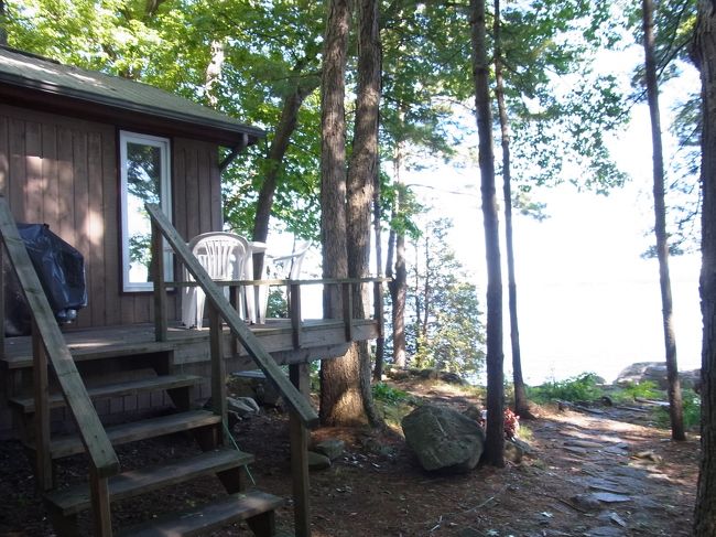 林の中に見えてきました。