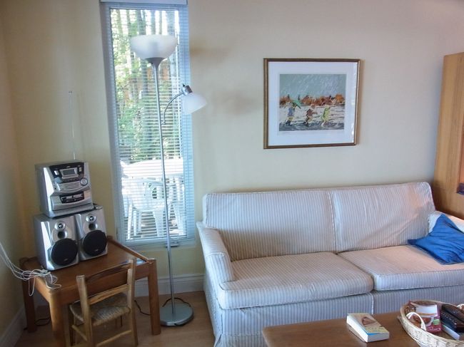 リビングのカウチ。