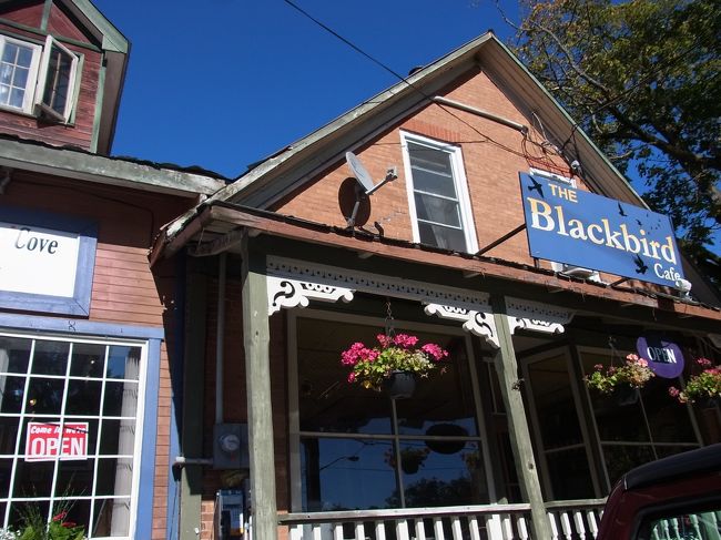 途中で覗いた小さな雑貨屋さん。この辺のコテージに滞在する人たちの楽しみのお店でもあるようです。