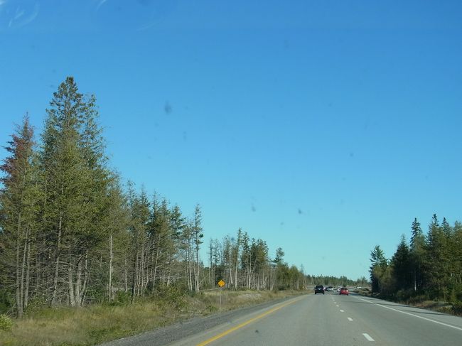 北海道みたいだな〜とも思いながら、、、