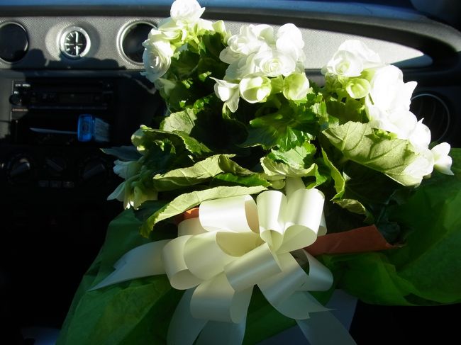 可愛いのが出来ました！これで1000円しません。<br />友人が知人の引っ越し祝いに(house warming partyというそうです。)<br />持って行きます。家を暖める？雰囲気出ている言葉ですね。