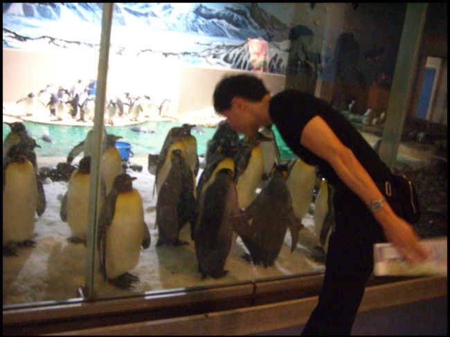 チェックアウト後、アドベンチャーワールドに行きました。<br />夫は小学生の時以来、20数年ぶりに行くそうです。<br />