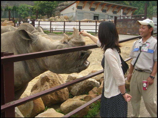 サイにもタッチしました。<br />アドベンチャーワールドはすごく楽しいところです。<br />