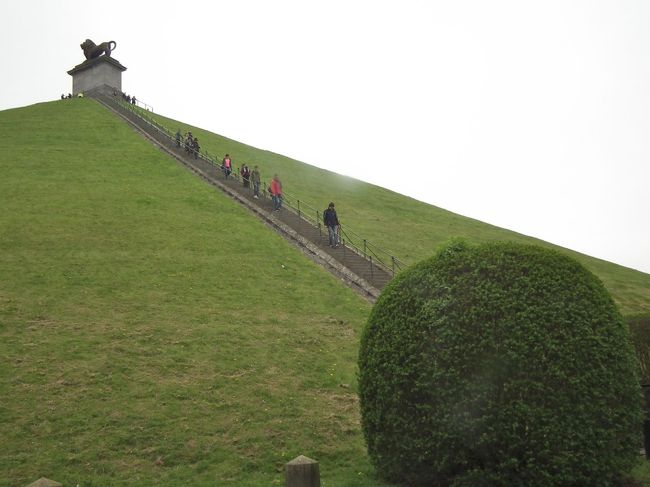 　丘というのはこれでございます。途中に休みところがあるわけではないのです。226段の階段をただひたすら上がるのですが、これはまっすぐですからいやになります。途中で何度も止まりました。<br /><br />　上に上がってみると、毎日テニスをやっているという2歳年上の男性が息も切らさず颯爽と上がっていて、参りました。こっちは日がな一日パソコンの前に座っていますからね。<br /><br />　　　なんでこんなものを・・・。この獅子はフランス軍のいた方向に向いて立っているのだそうです。ほら、獅子はベルギーの象徴ですからね。