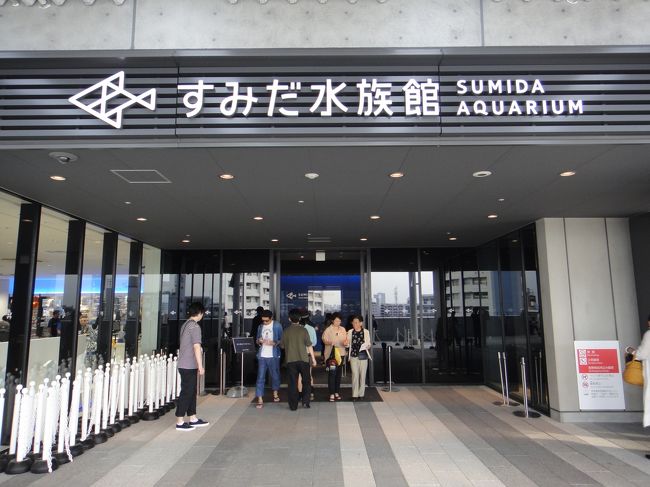 東京スカイツリーに行ってきました 展望デッキ すみだ水族館 浅草 東京 の旅行記 ブログ By リンリンベルベルさん フォートラベル