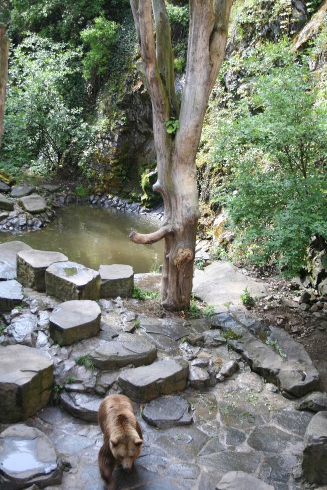 5/15　チェスキー・クルムロフ