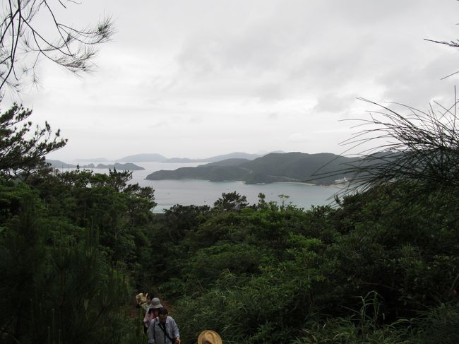 勾配は急です。しかし、村のお年寄りは皆がお宮に登る時にはできうる限り、山を登りお宮にお参りされるそうです。