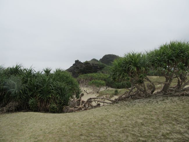 ガイドさん（シラハマアイランズリゾートの社長さんですが）の後について、島の奥へ入っていきます。<br /><br />大きなヤドカリが沢山、いました。<br /><br />そして、無人島には野生化したヤギがいました。<br />多分７匹いると仰ったと思います。そのうちの４匹を見かけました。<br />確率的には島の半数以上のヤギを見ることができた訳です。