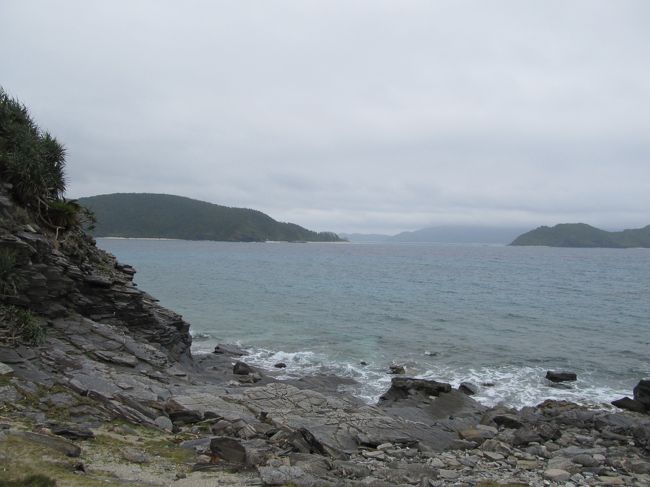 ヤギは遠目に見かけただけですが<br />ヤギにとってこの島には十分な食料がなく、痩せてしまっているのだと仰っていました。