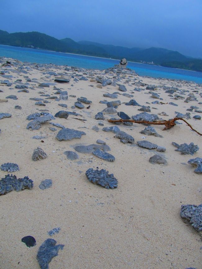 嘉比（ガヒ）島<br /><br />珊瑚が沢山、打ち上げられていました。こんなサンゴ礁を積み上げて石垣にしたのでしょうか…。