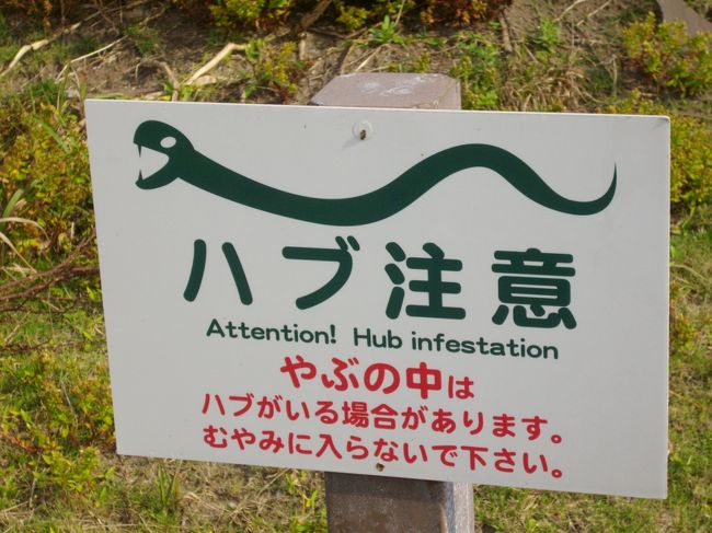 ひぇ〜「ハブ注意」の看板がありますよ…。<br />座間味島にはハブがいなかったけれど、渡嘉敷島は起源が古い島なので　ハブがいるのですね…。<br /><br />余談ですが、<br />今回の渡嘉敷島のガイドさん（兼ドライバーさん）<br />まだ、お若いのですが　ハブに咬まれたことがあり、自衛隊のヘリで搬送されたと仰っていました。