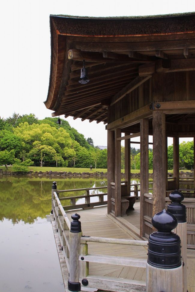 鷺池のビュースポットともなっており、夜にはライトアップもされます。