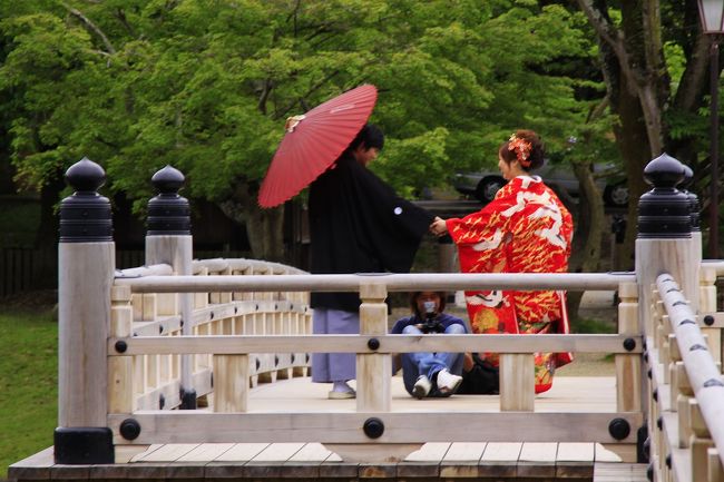 ジューンブライド間近…結婚を控えたカップルでしょうか。和装して撮影に臨んでいました。