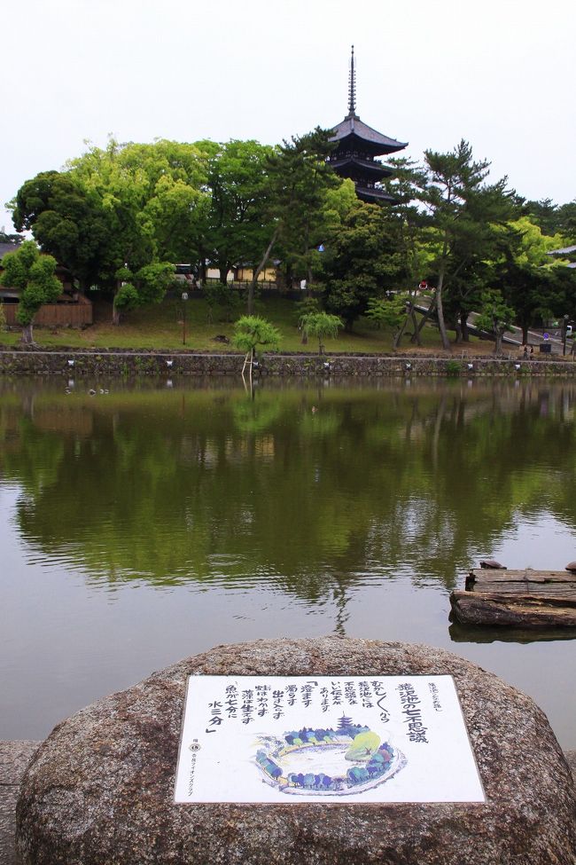 奈良町を北上していくと、猿沢池に出ます。天平時代に造られた人工池で、興福寺の五重塔を映す水面が奈良の名所の風景として知られており、今でも市民の憩いの場所となっています。
