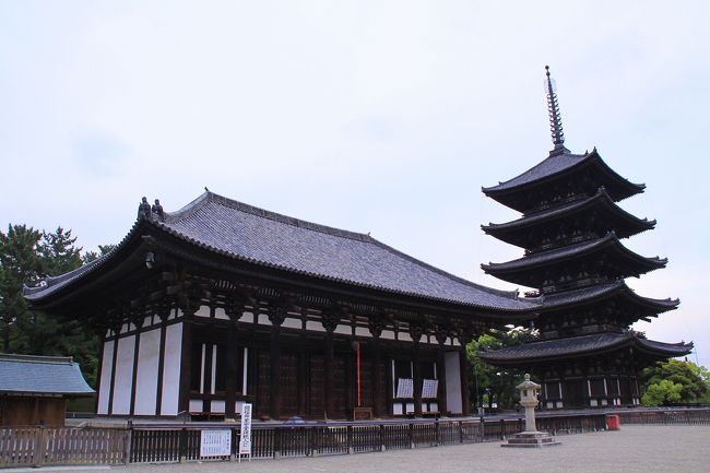 唐招提寺の金堂を模して建てられたという東金堂も国宝で、こうした主要な建物は、境内無料なので近くでゆっくり見ることができます。