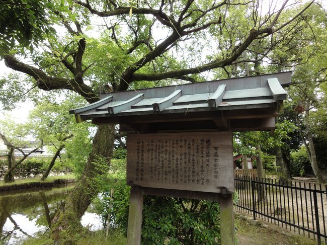 あ、池がある♪