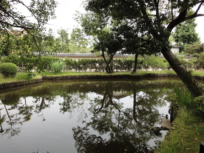 そんなに綺麗な水ではないのですが、綺麗に写し絵になってるのが、ちょっと感動です(*^_^*)