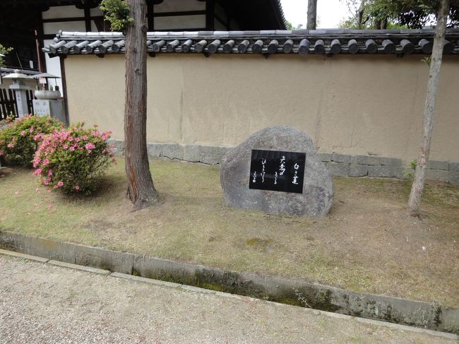 石碑の横には、ツツジが咲いてました！