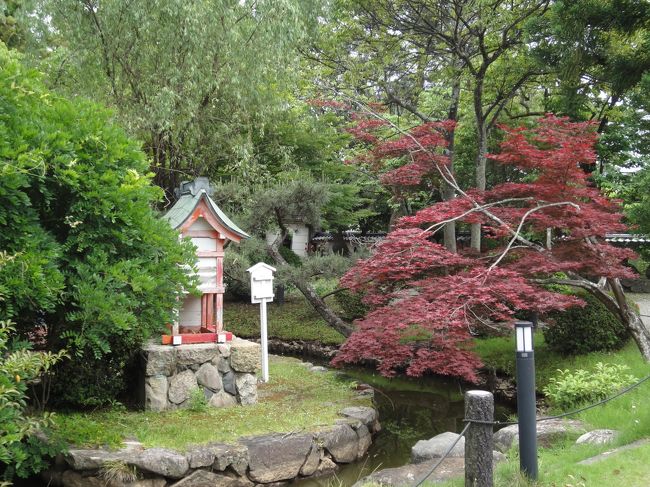 池の中には祠があって、その周りには緑がヽ(^o^)丿<br /><br />もみじが、綺麗でした！