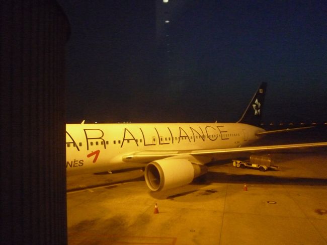 帰りはスタアラロゴプリント機体。<br />