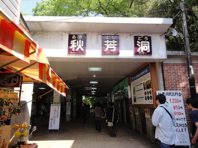 探検の始まりです！