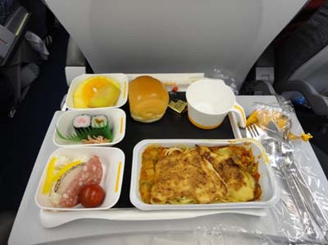 ルフトハンザ便は予定通り成田を出発。ルフトハンザは２回目だが本当にＣＡは笑顔で接客をしてくれて今回も快適なフライトでした。予定通りミュンヘン空港に到着、混雑もなくパスポートコントロールを抜け、いざ、市内へ。Ｓバーンの乗り場は空港出口の向かい側にありました。階段を下りるといきないプラットホームがあり券売機が並んでいます。操作をしてもぜんぜんわからない。隣で切符を買っている人に聞いてみる。行先は自分で入力しないといけないらしい。Hauptまで入力すると候補地がいくつか表示され無事、購入することができました。そして時刻の刻印ですがどうやっても時刻の刻印ができません。再び聞くと、この切符は刻印不要とのこと。うーーーん難しい。Ｓバーンは何の予告もなく発車しました。乗り心地はいいですね。とても静か。降りる駅を注意しながら中央駅に到着。さてホテルを探さねば・・・DBのinformationがあったので聞くとすぐ近く。迷うこともなくホテルにつくことができました。さっそく、周りの探検へ。バイエルンをチケットの購入方法を覚えようと、駅の券売機へ。英語表示に切り替え、いろいろいじってみるがわからない。１０分くらい操作していると、ん？これかな？という感じで進んでいくと・・・おお、あったこれだ！なんとか操作を覚えました。ヨーロッパの夜は長いです。まだ明かりけれどもう夜の９時。疲れているので今日は早く休むことにしました。明日は待望のザルツブルク。胸が高まる。