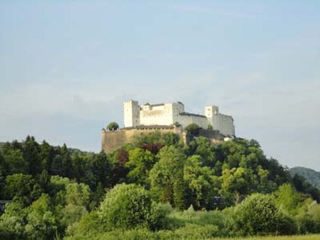 レオポルトクローン側から見たホーエンザルツブルク城