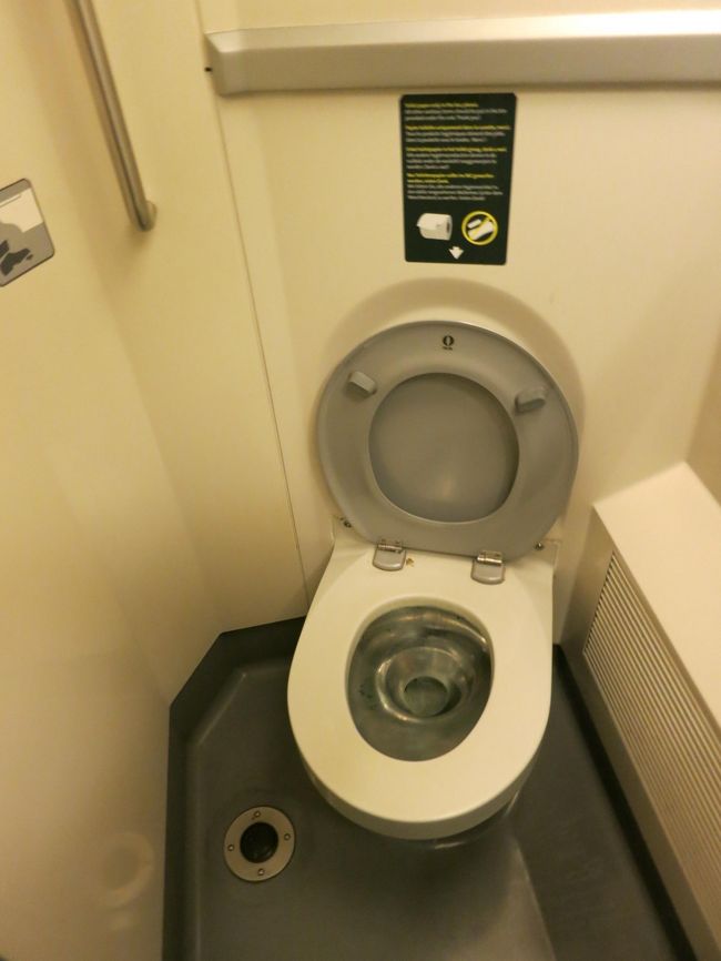 ちなみにトイレです。