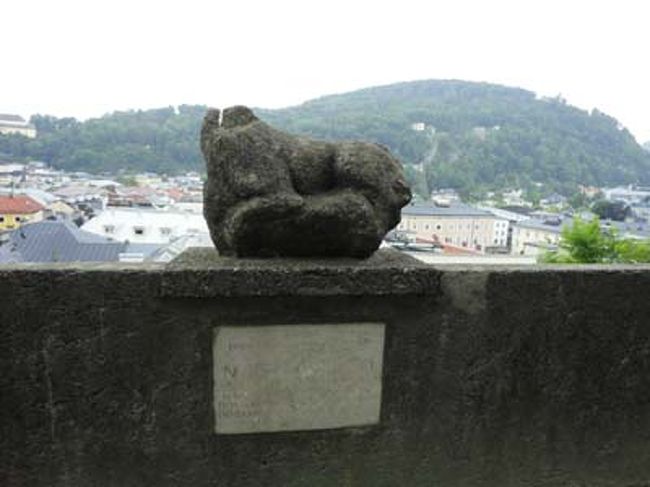 ホーエンザルツブルク城からの景色