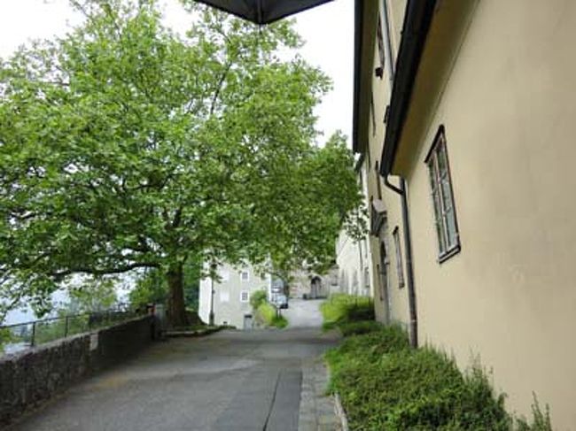 ノンベルク修道院<br /><br />帰りは歩いて降りていきます。出口を過ぎ、いくつかの門をくぐってしばらく歩いていくと、ノンベルク修道院にたどり着きます。ヨーロッパ最古の女子修道院。そしてサウンドオブミュージックの主人公、マリアが過ごした修道院でもあります。実際の結婚式もここで挙げています。前回来たときはゆっくりできなかったので今回は修道院の中もゆっくり見学です。映画のロケは入り口のところだけで修道院内部はセットを使っているようです。格式を感じさせる内部は本当に威厳がありました