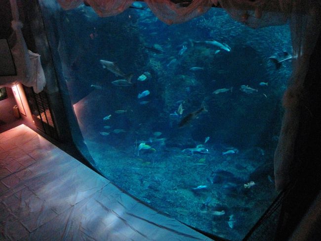新江ノ島水族館「お泊りナイトツアー」5/21-22 2名分