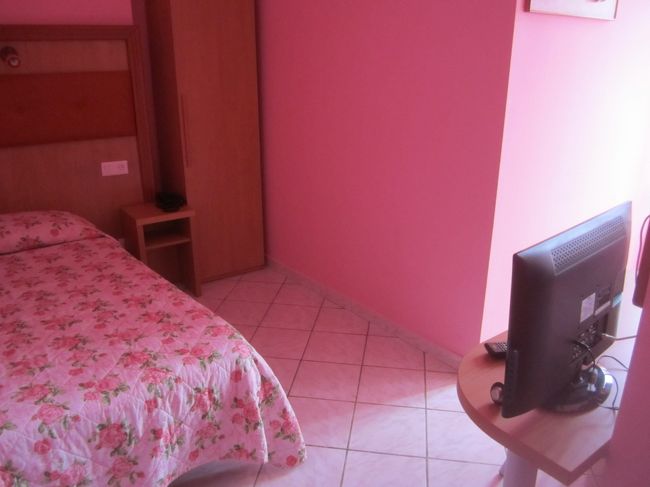 トゥールーズからルルドに移動し、ホテルを駅近くに予約していたので、まずはチェックインです。<br />ルルドは、ホテルが多く、どこも値段はかなり安いです。