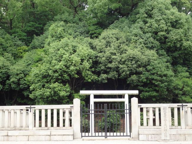 ズームしてみました♪<br /><br />ホテルフジタの窓からだったら、もっと見えるのかな？！