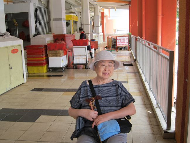 体力と鼻の休憩。