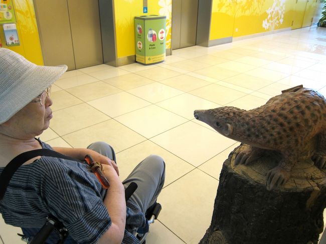 あっ、どもっ？