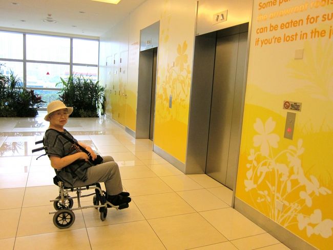 しばらくして、さぁ今度は<br />ランチじゃ〜と出発！<br /><br />そして車椅子をおしてると、さっきの<br />不機嫌なおばちゃんと遭遇。<br />なぜかすごくビックリした顔をしてた。<br />なんなんだろう？ま、いいけど。<br /><br />エレベーター、４台もあるのに<br />なかなか来ず。