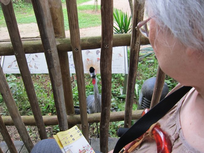 ハイ、どーも。<br />えらい近づいてくる。