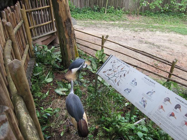 そして、気まぐれ。